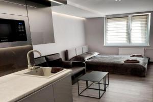 Apartament Źródełko, Krynica