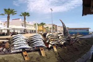 precioso apartamento a 50 metros de la playa, Rincon de la Victoria