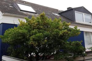 Felsen-Eck Apartments, Helgoland