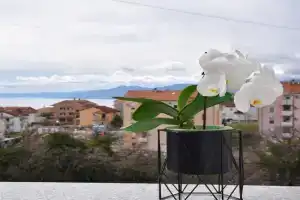 Apartman Totale, Rijeka