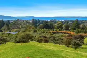 Aww Sheep-Uninterrupted Panoramic View with Spa Guest house, Rotorua