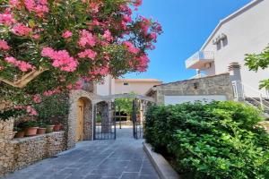 Apartments Iko Nemira, Tice