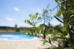 Villa Marčeta Authentic Stay in Istria, Stignano di Pola
