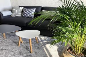 Słoneczny apartament z garażem przy Parku Kościuszki, Katowice