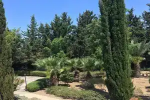 Limnaria Villas Kato - wonderful villa near the beach and all facilities, Paphos