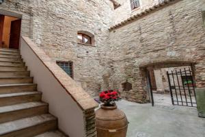 Saint Francis Apartment, Assisi