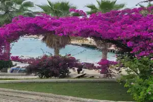 Apartment Celine, Sarande