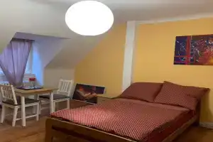 Burgfreiheit Guest house, Heidelberg