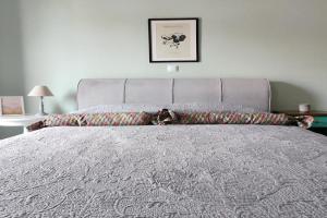 Karystos sea side apartment, Karistos