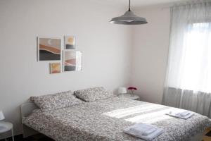 Bologna, vicino ospedali Sant'Orsola e Malpighi, centro storico e fiera Apartments, Bologna