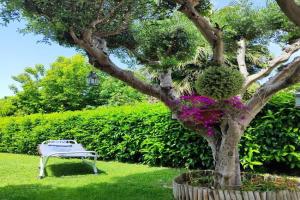 Family's Affairs Apartments, Pompei