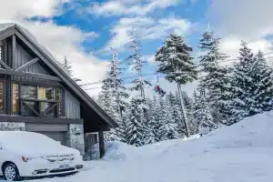 Pinnacle Ridge 38 - 5 Steps Away From The Ski Run, Wood Fireplace, Whistler