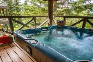 Pinnacle Ridge 36 - Ski In Ski Out, Newly Renovated, Private Hot Tub, Wood Fireplace, Whistler