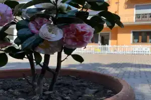 Cà del Fili Guest house, Ossuccio