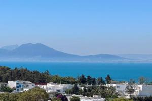 La Menara Hotel & SPA, Carthage