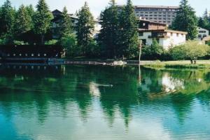 Casa Laghetto 5, Arosa