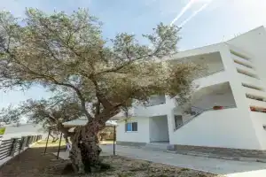 DITJONI Apartments, Ulcinj