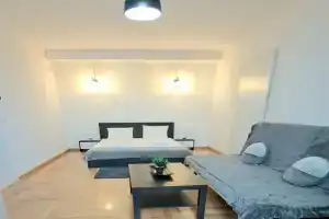 Villa Ris Unirii ,Centru, Bucharest