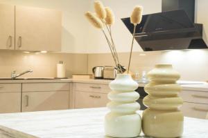 Luxury 3 Apartments, Saarbrucken