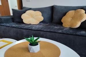 Apartman Desanka, Vrnyachka Banya