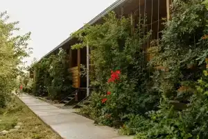 Rybolovno-ohotnichya baza Oazis Tourist base, Aktyubeyevka