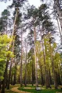 Metallurg Sanatorium - 17