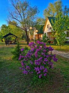 Tikhie Zori Holiday Park Tourist base - 53