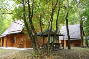 Skazka Tourist base, Voronezh