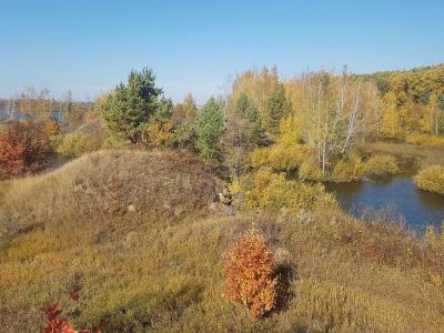 The base of rest Lukomorye Terbunskiy - 14