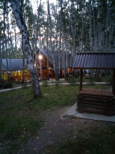 The base of rest Lukomorye Terbunskiy - 16