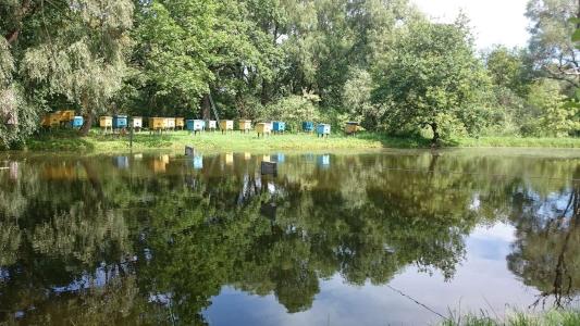 Turisticheskiy kompleks Pripyatskiy stan - 3