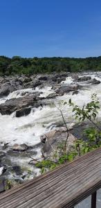 "Tumar" Guest house - 3