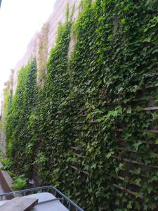 "Tumar" Guest house - 8