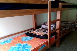 HostelTraveler, Vladimir