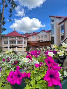 Sanatorii "Ruzhanskii' - 15