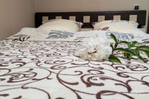 U Mamyi Svetyi Guest House, Nes'vezh