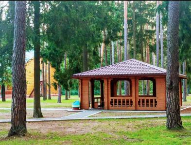 Detskiy sanatoriy <<Solnyshko>> - 2