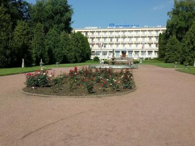 Lavanda - 9
