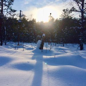 Sanatoriy Sputnik - 8