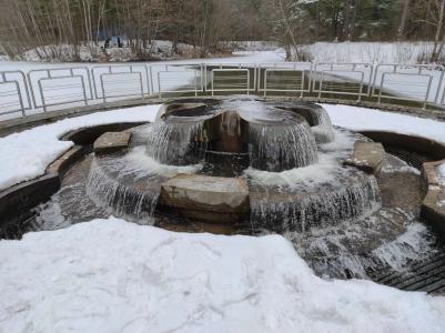 Sanatorium Sosnovyy bor - 4