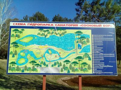 Sanatorium Sosnovyy bor - 5
