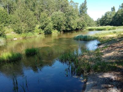 Sanatorium Sosnovyy bor - 7