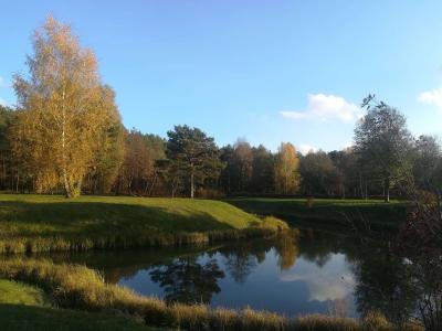 Sanatorium Sosnovyy bor - 9