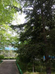 Sanatorium Svobodnyy - 4