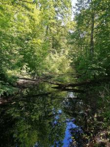 Sanatorium Zolotye peski - 4