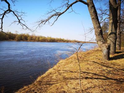 Sanatorium Zolotye peski - 5