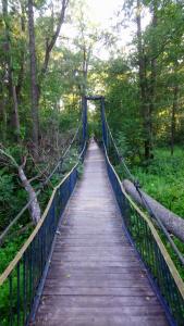 Sanatorium Zolotye peski - 8
