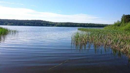 Agrousadba Sosnovij Raj - 2