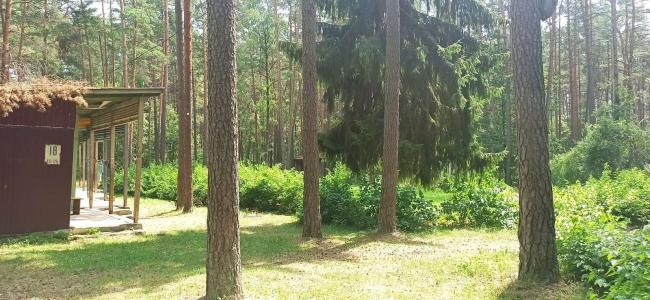 Agrousadba Sosnovij Raj - 7