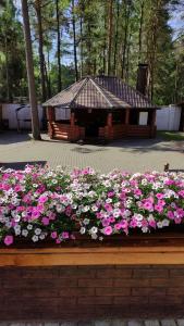 Agrousadba Sosnovij Raj - 8